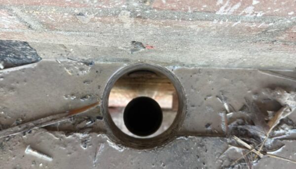 WhatsApp Image 2026-02-03 at 14.10.36 (1)